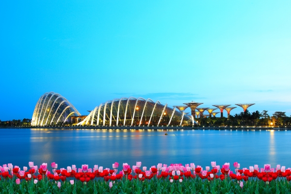 Вид на Gardens by the Bay: Flower Dome, Cloud Forest и Supertree Grove