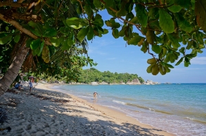 Вид на север Rocky`s Beach